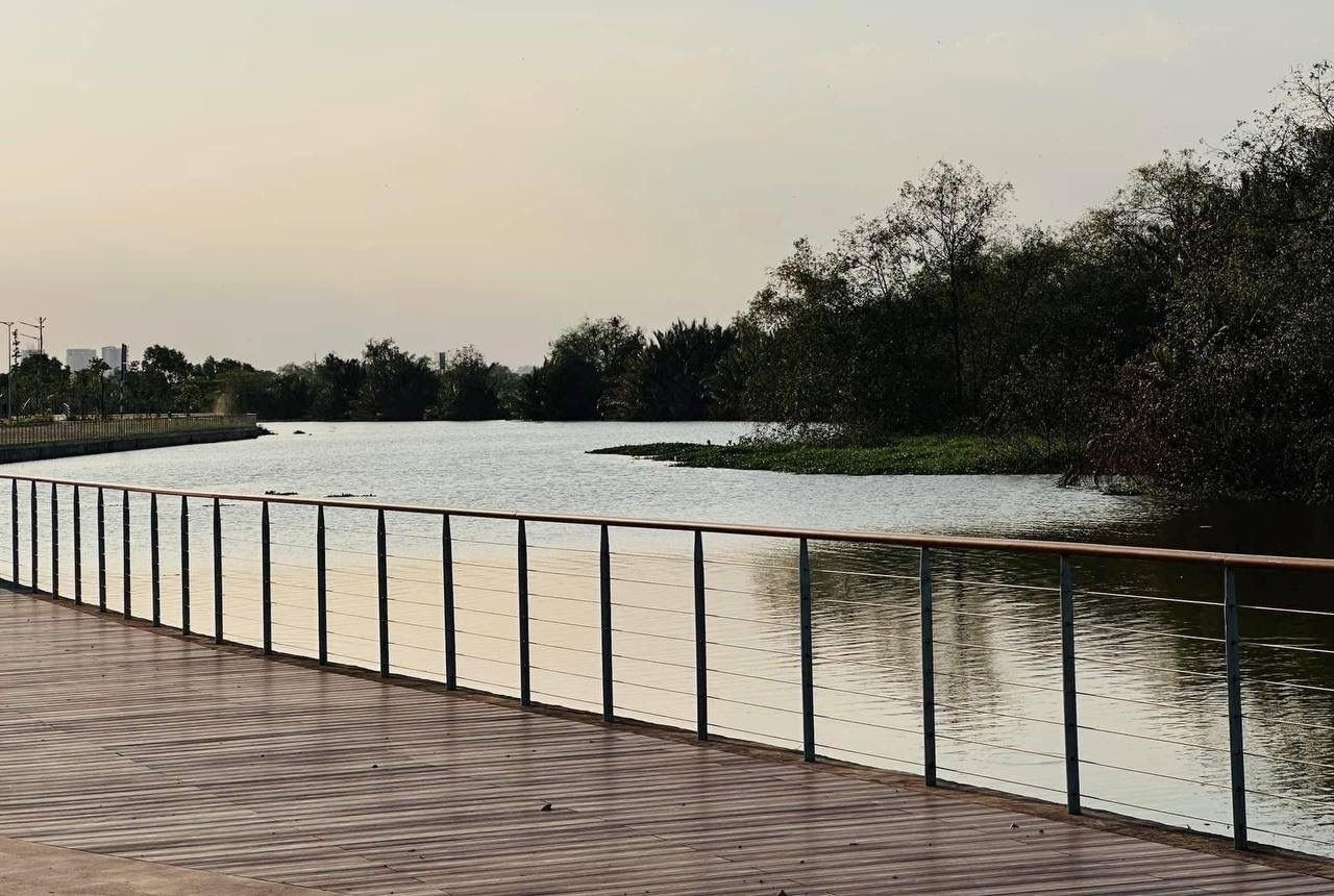 Cầu gỗ ven sông