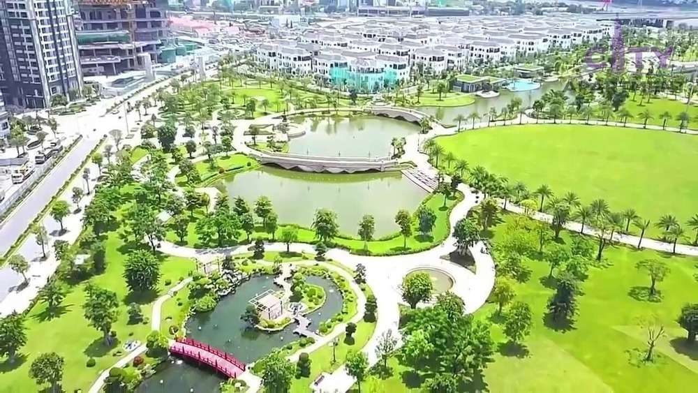 Công viên ven sông với hồ nước, cầu gỗ và thảm cỏ xanh