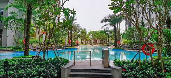 Hồ bơi giữa vườn cây