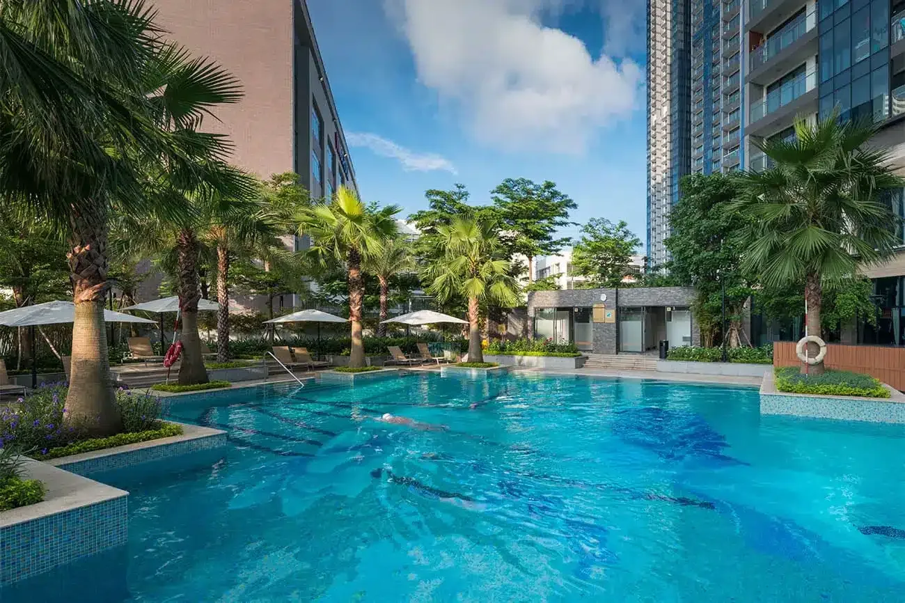 Hồ bơi giữa vườn cọ