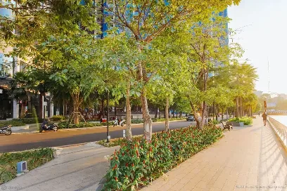 Đường dạo rợp bóng cây