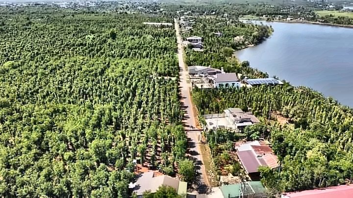720m² đất mặt tiền đường liên xã, cuối đất ôm hồ 43 (20ha), ảnh 3