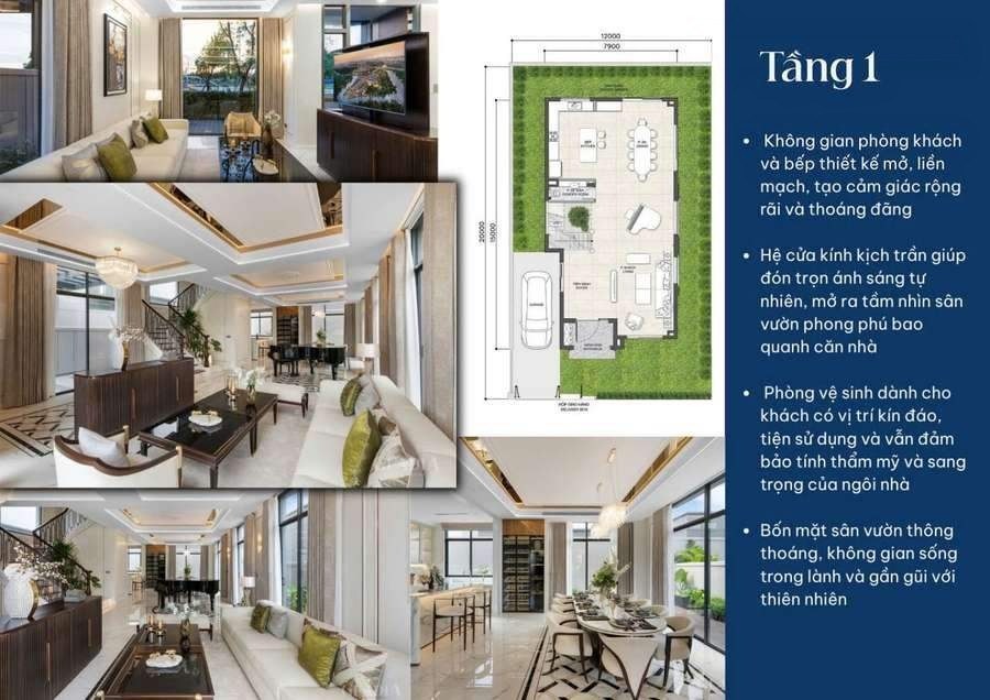Biệt thự đơn lập hoàn thiện nội thất, đất 240m², cam kết thuê 2 năm, ảnh 3